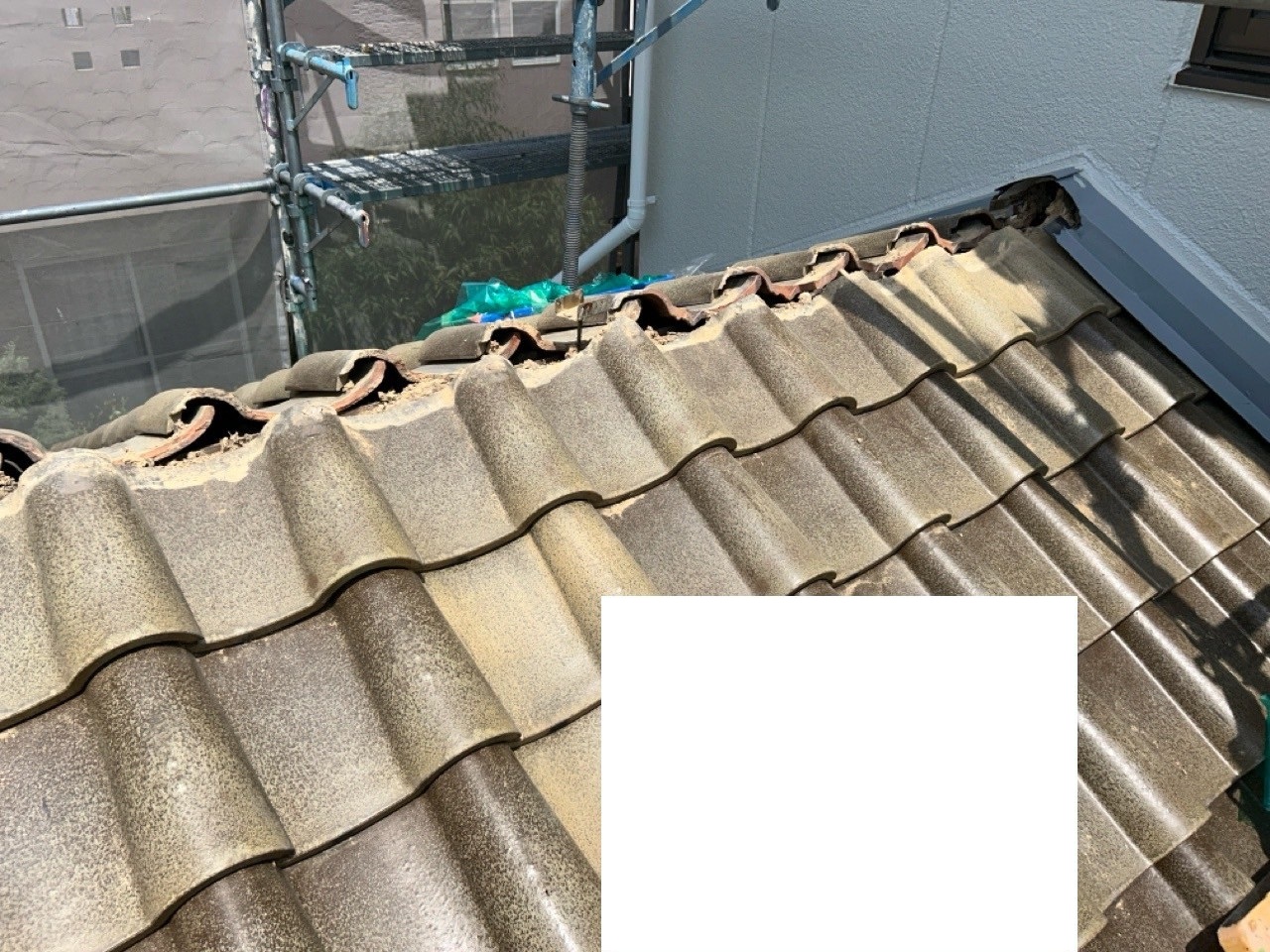 棟組替工事　施工中